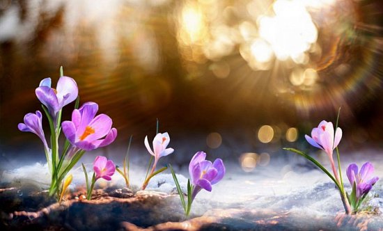 Поздравления с 8 Марта!